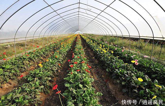 实验行业冷库 第341页