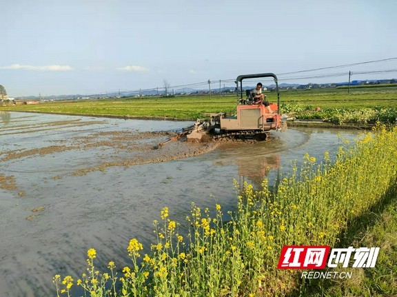 产品展示 第289页