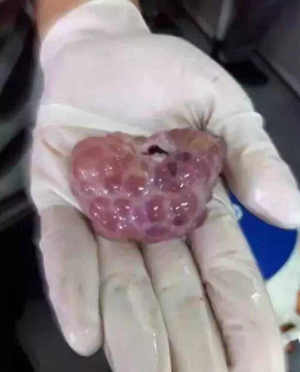 维保工程 第257页