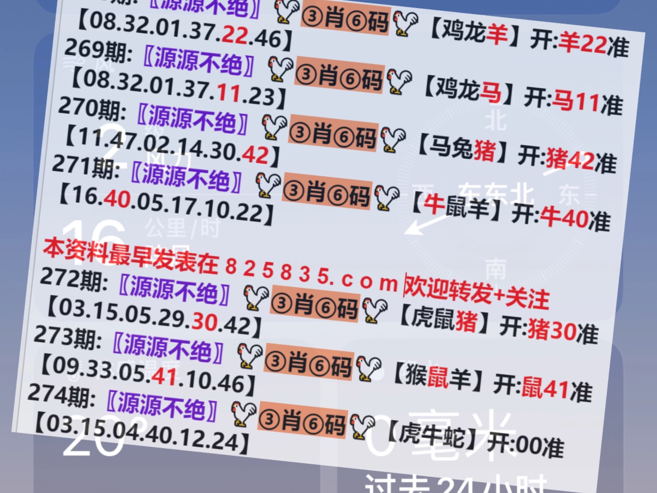 产品展示 第236页