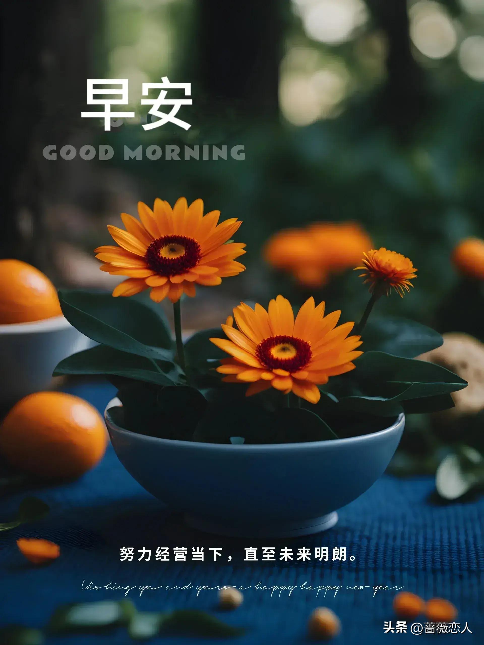 2024天天彩全年免费资料,数据解释说明规划_改制版48.250
