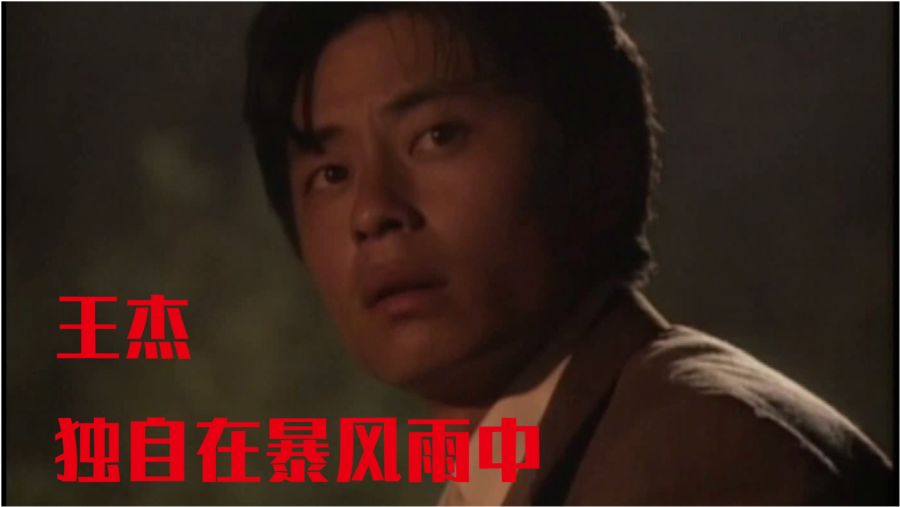 王杰出演的电视剧全解析，作品列表与详细步骤指南