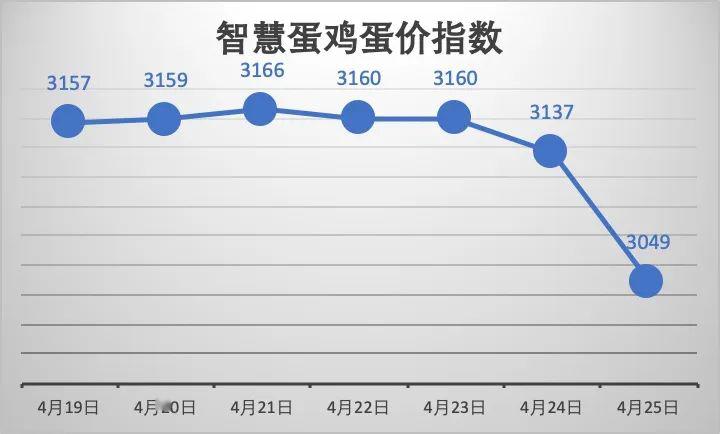 禽病网今日蛋价行情分析与预测报告