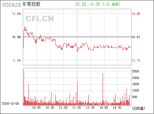 东莞控股股票，一路向前，成就梦想投资之选