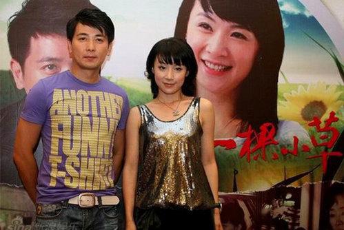 我是一颗小草演员表深度解析，角色与演员匹配度探究