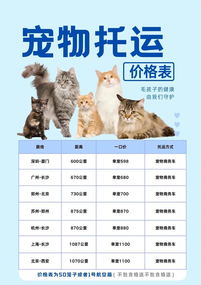 宠物市场最新价格行情深度解析，市场走势与价格变动揭秘