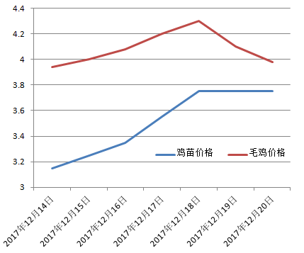 最近毛鸡价格行情走势分析