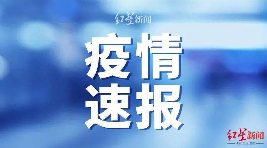 最新疫情情报更新