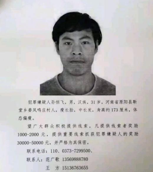 原阳命案深度探究与反思，最新回顾与悲剧剖析